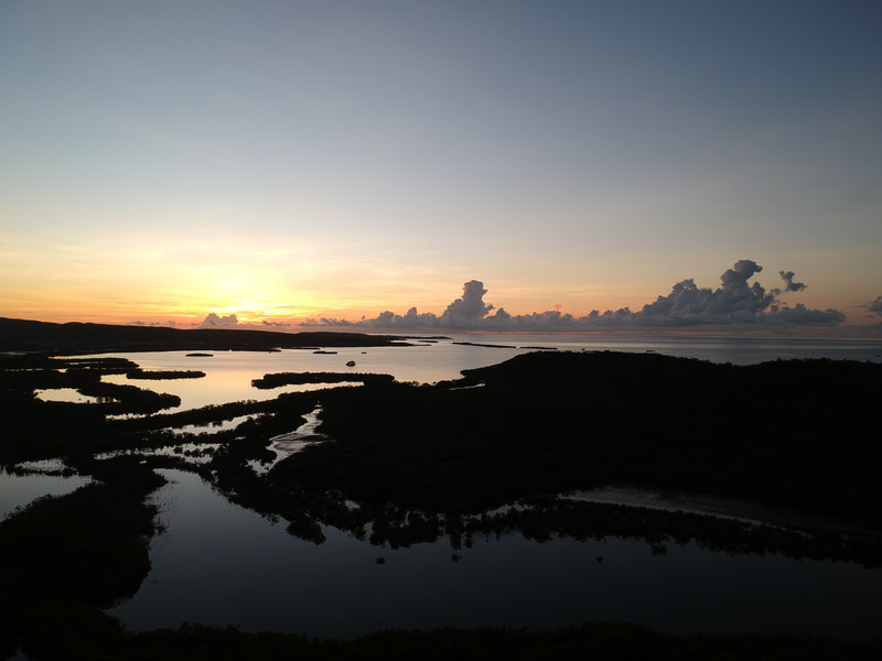 Sunrise over the mangroves.